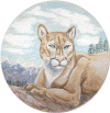 Cougar Drum by Mary Stratton