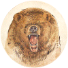 Light Grizzly Bear