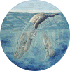 Whale Drum
